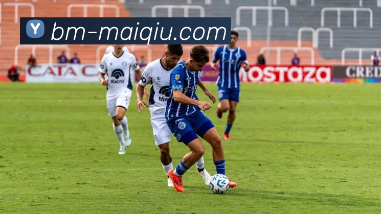 足球赛事分析平台生态图