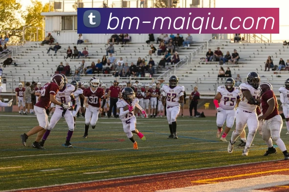 足球赛事分析全站App